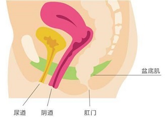 ô׼ῴ