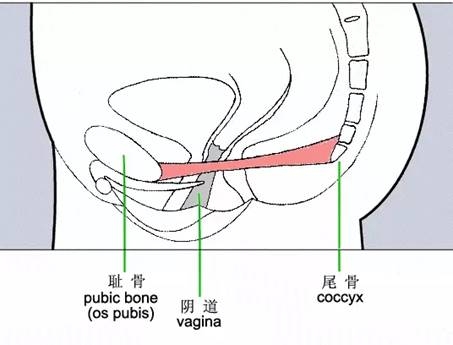 ̽أƷĸӺã